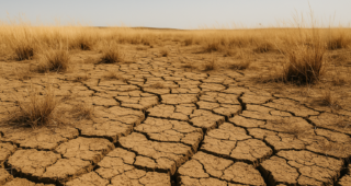 Global Study Reveals Profound Impact of Extreme, Multi-Year Drought on Grasslands