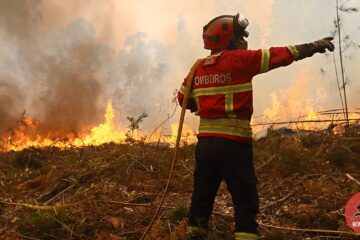 Incêndio de Vouzela alastra com progressão “brutal” e mobiliza perto de mil operacionais